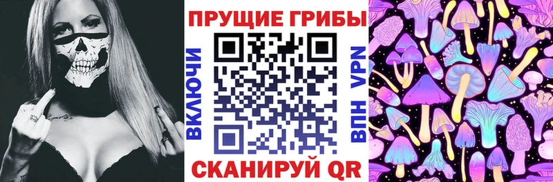 Галлюциногенные грибы Cubensis  Мончегорск 